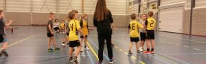 Scholenhandbaltoernooi @ sporthal de hoepel | Wanroij | Noord-Brabant | Nederland
